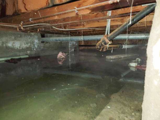 Best Water damage restoration near me  in Kings Park, VA