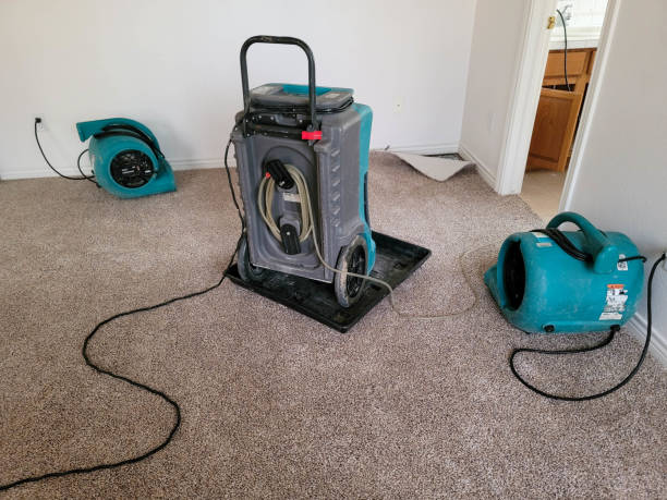 Best Water damage contractors near me  in Kings Park, VA