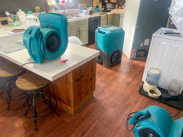 Best Water damage restoration experts  in Kings Park, VA