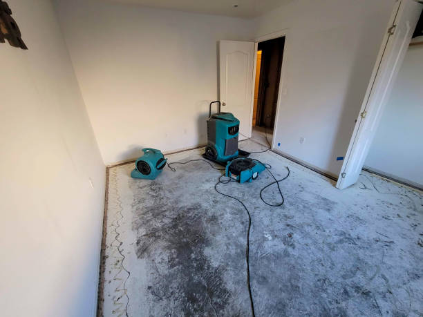 Best Professional water damage repair  in Kings Park, VA