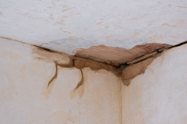 Best Flood restoration services  in Kings Park, VA