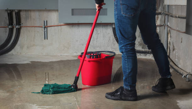Best Water damage restoration near me  in Kings Park, VA