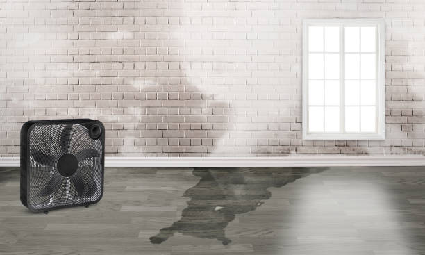 Trusted Kings Park, VA Water damage restoration Experts