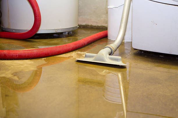 Best Water damage restoration company  in Kings Park, VA