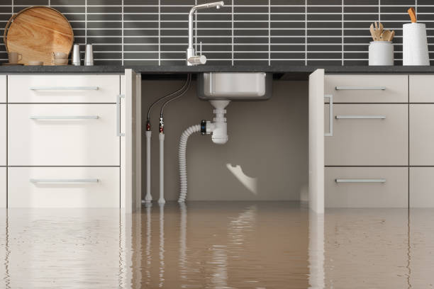 Best Professional water damage repair  in Kings Park, VA