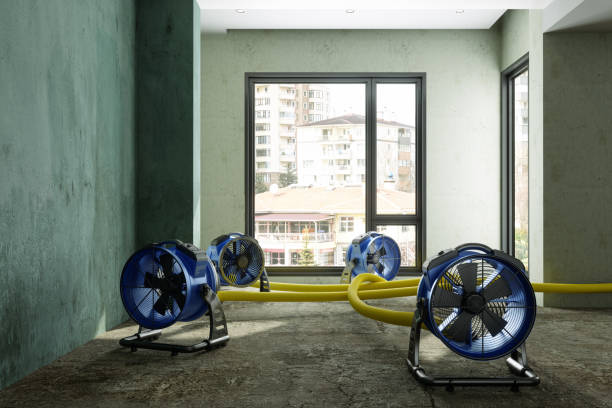 Professional Water damage restoration in Kings Park, VA