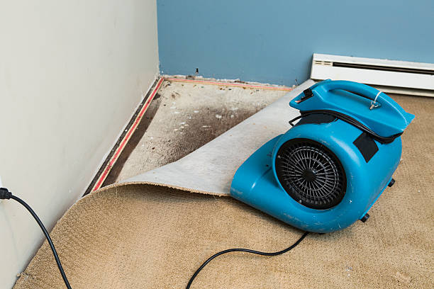 Professional Water damage restoration in Kings Park, VA